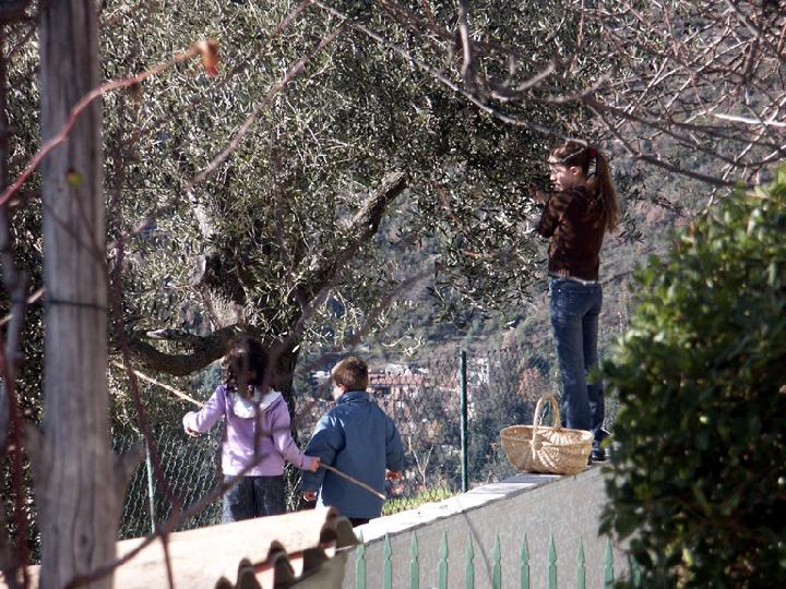 2003-01 016.jpg - DCF 1.0